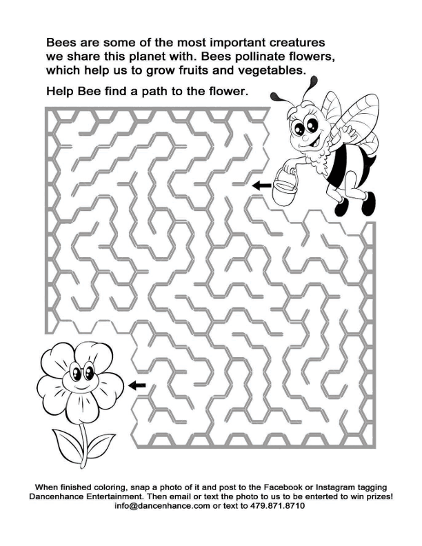 Dancenhance Bee Maze
