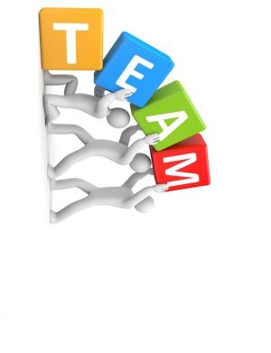 Meet the Team