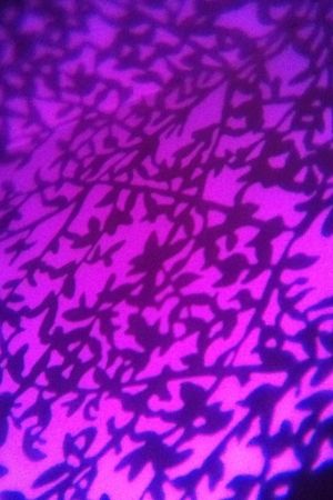 Event Lighting